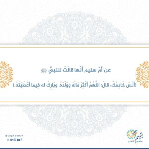 Read more about the article 