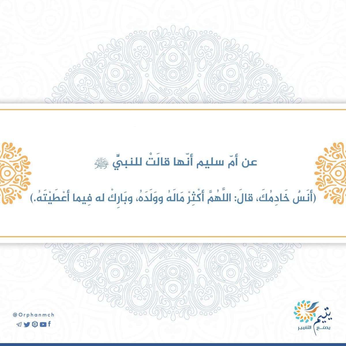 Read more about the article 