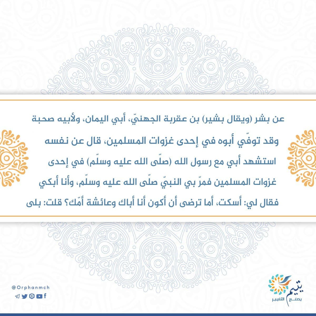 Read more about the article 