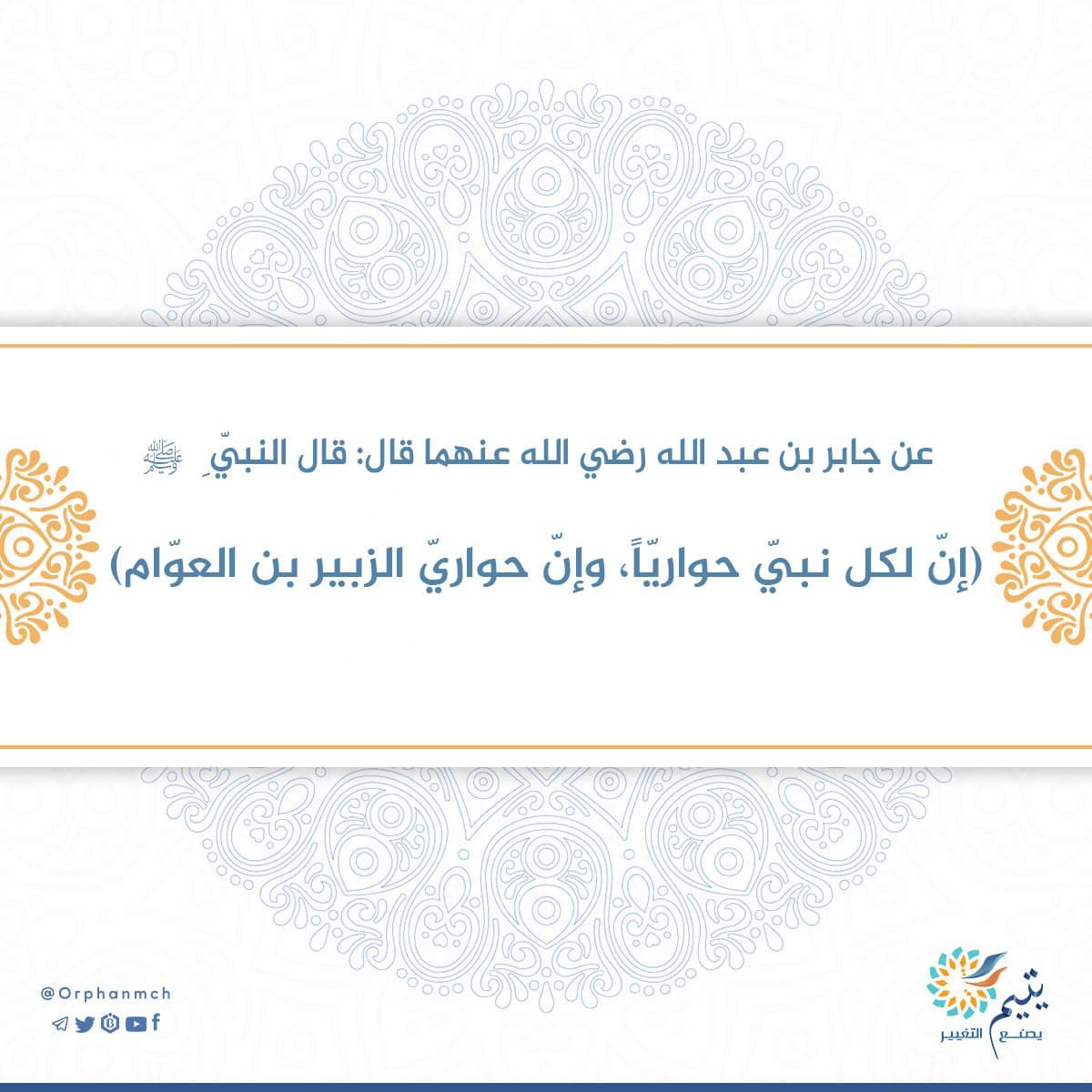 Read more about the article 
