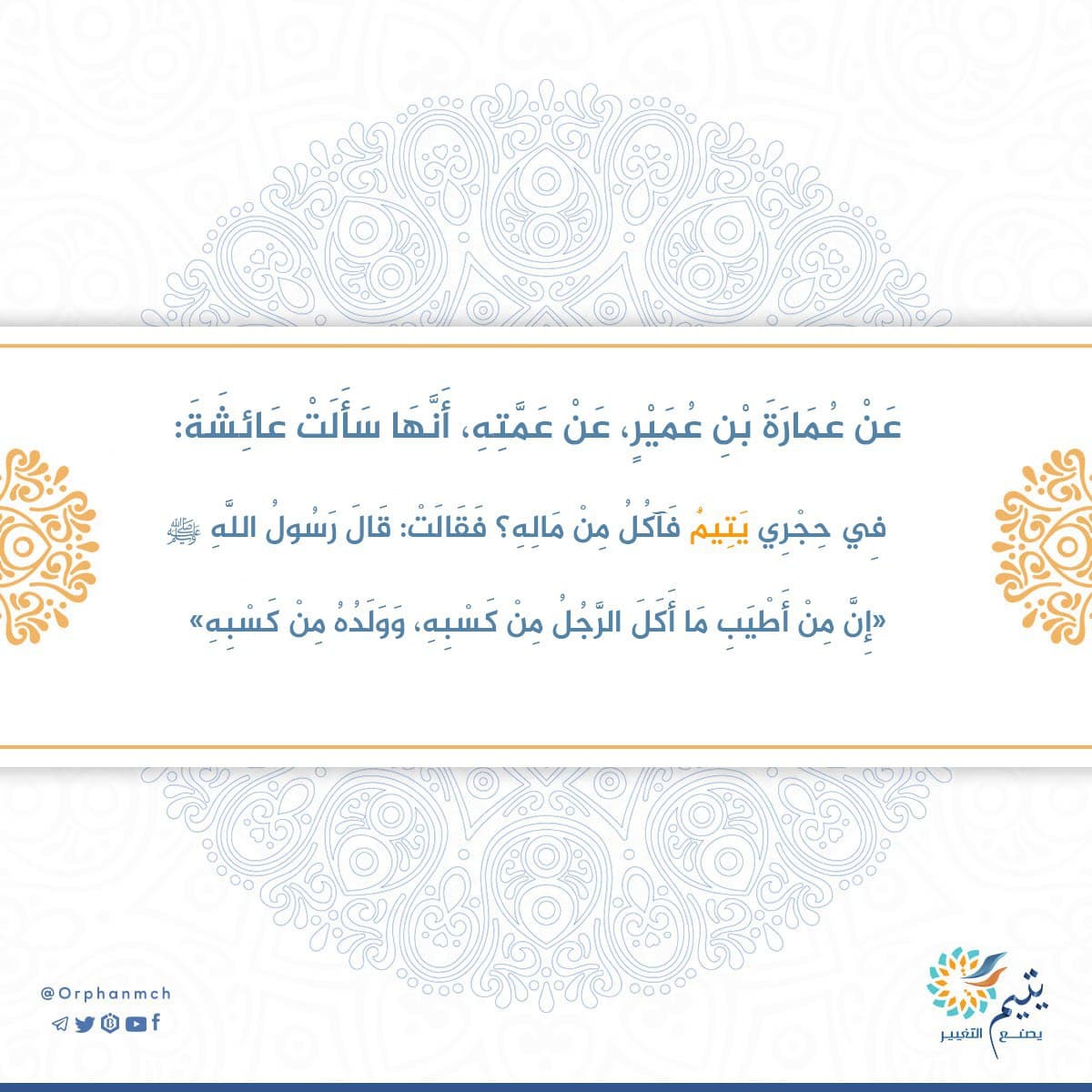Read more about the article 