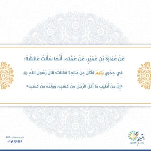Read more about the article 