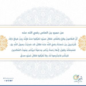 Read more about the article 