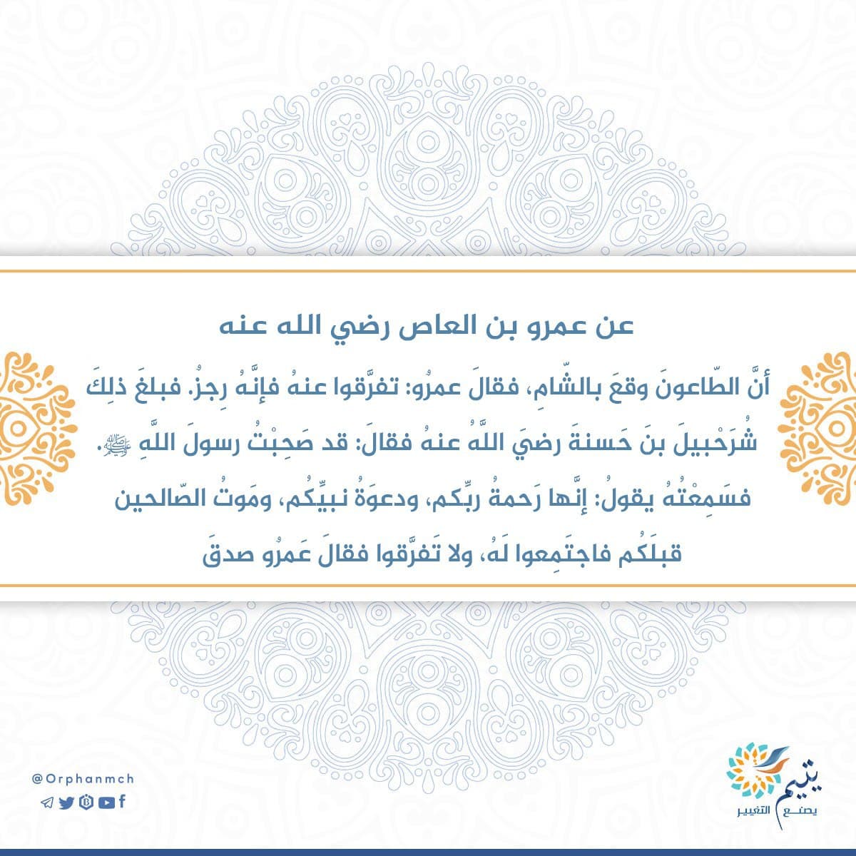 Read more about the article 