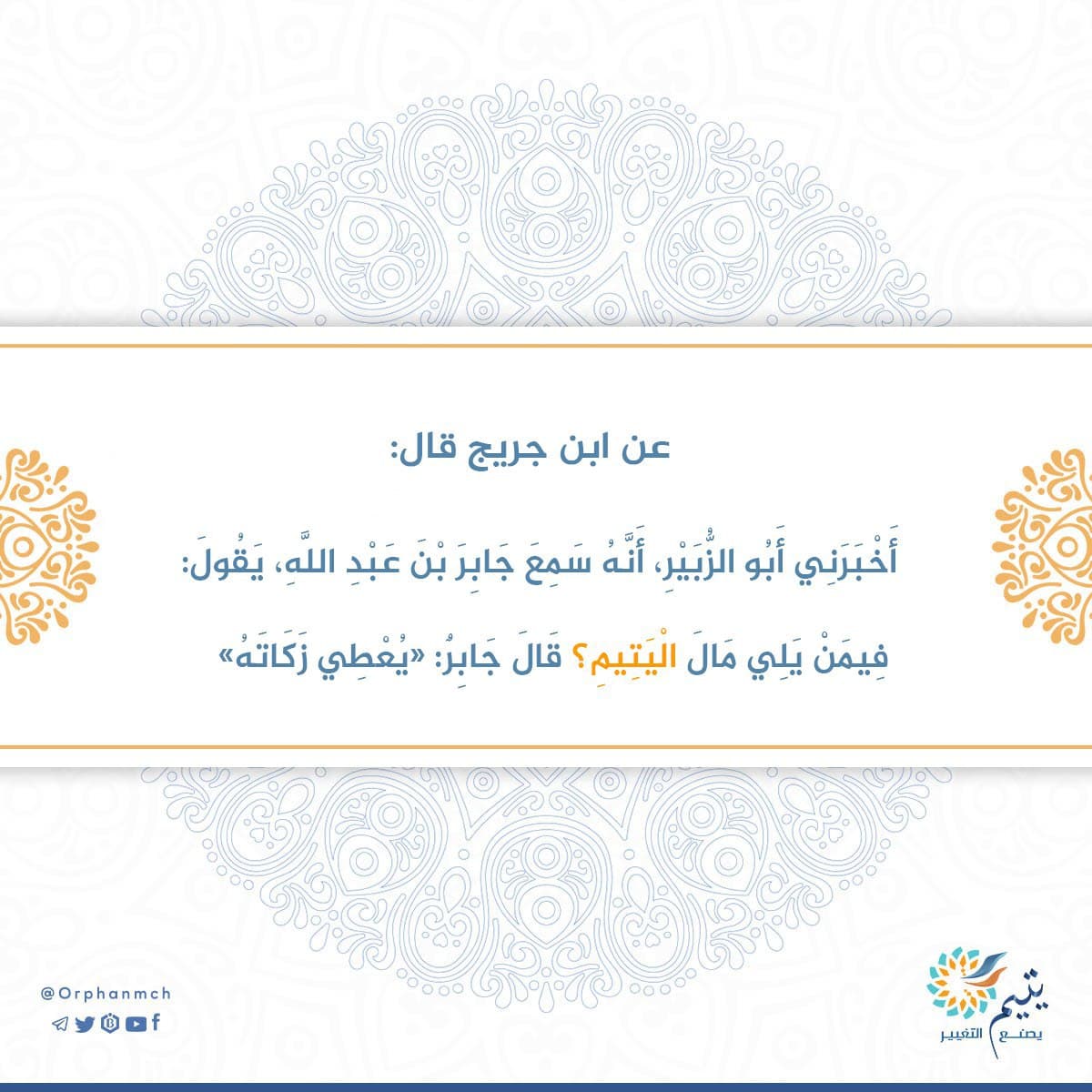 Read more about the article 