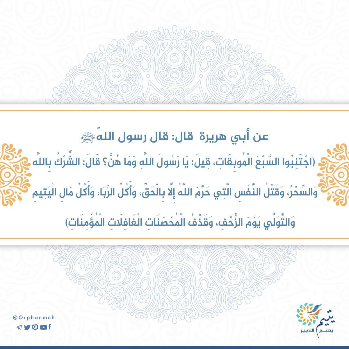 Read more about the article 