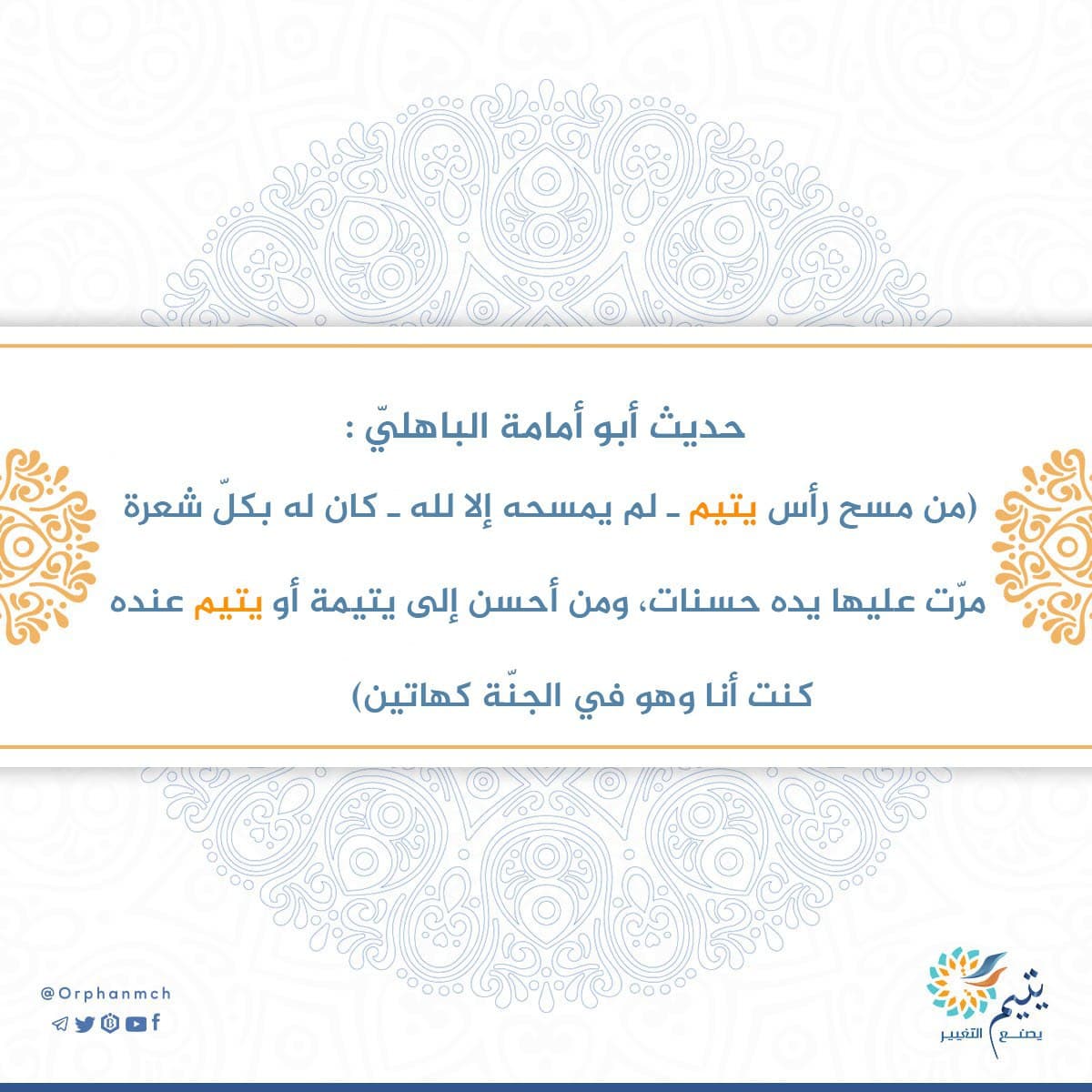 Read more about the article 