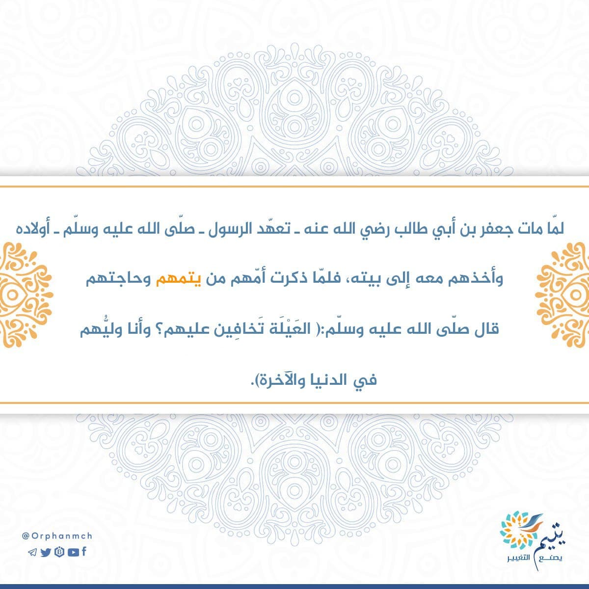 Read more about the article 
