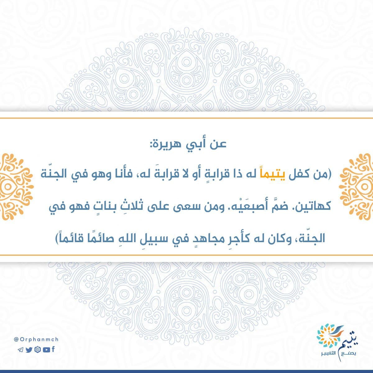 Read more about the article 
