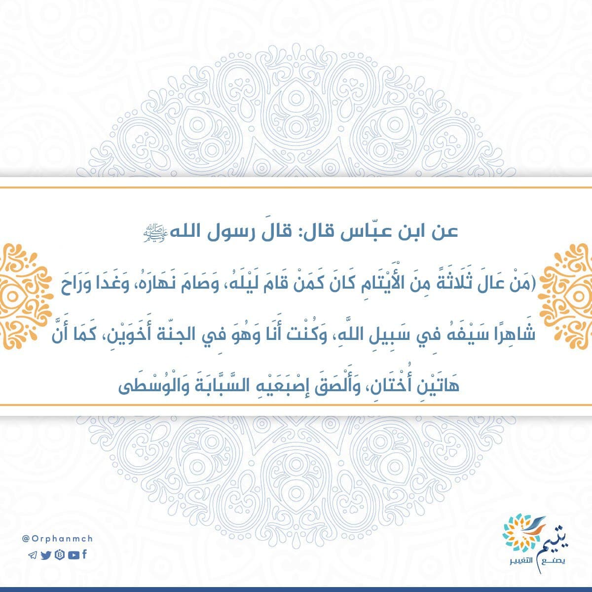 Read more about the article 