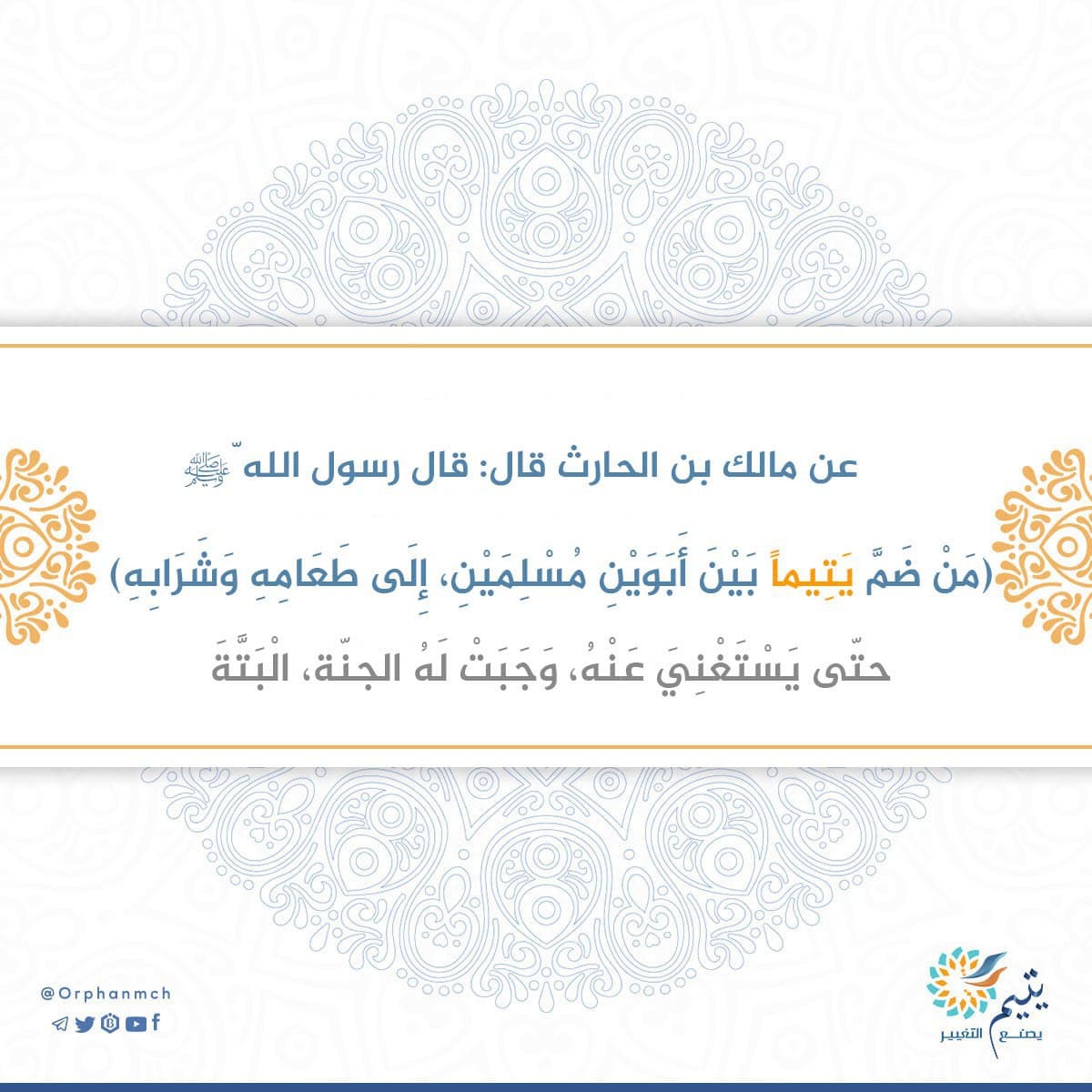 Read more about the article 